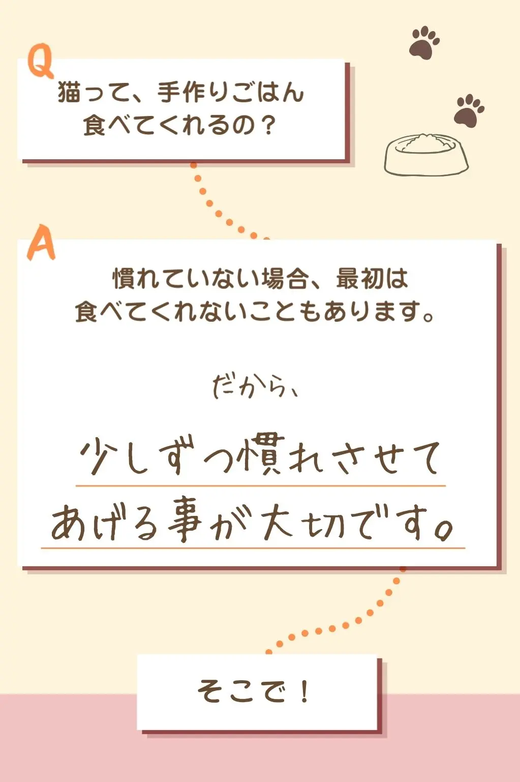 猫って、手作りごはん食べてくれるの？、慣れていない場合、最初は食べてくれないこともあります、だから少しずつ慣れさせてあげる事が大切です
