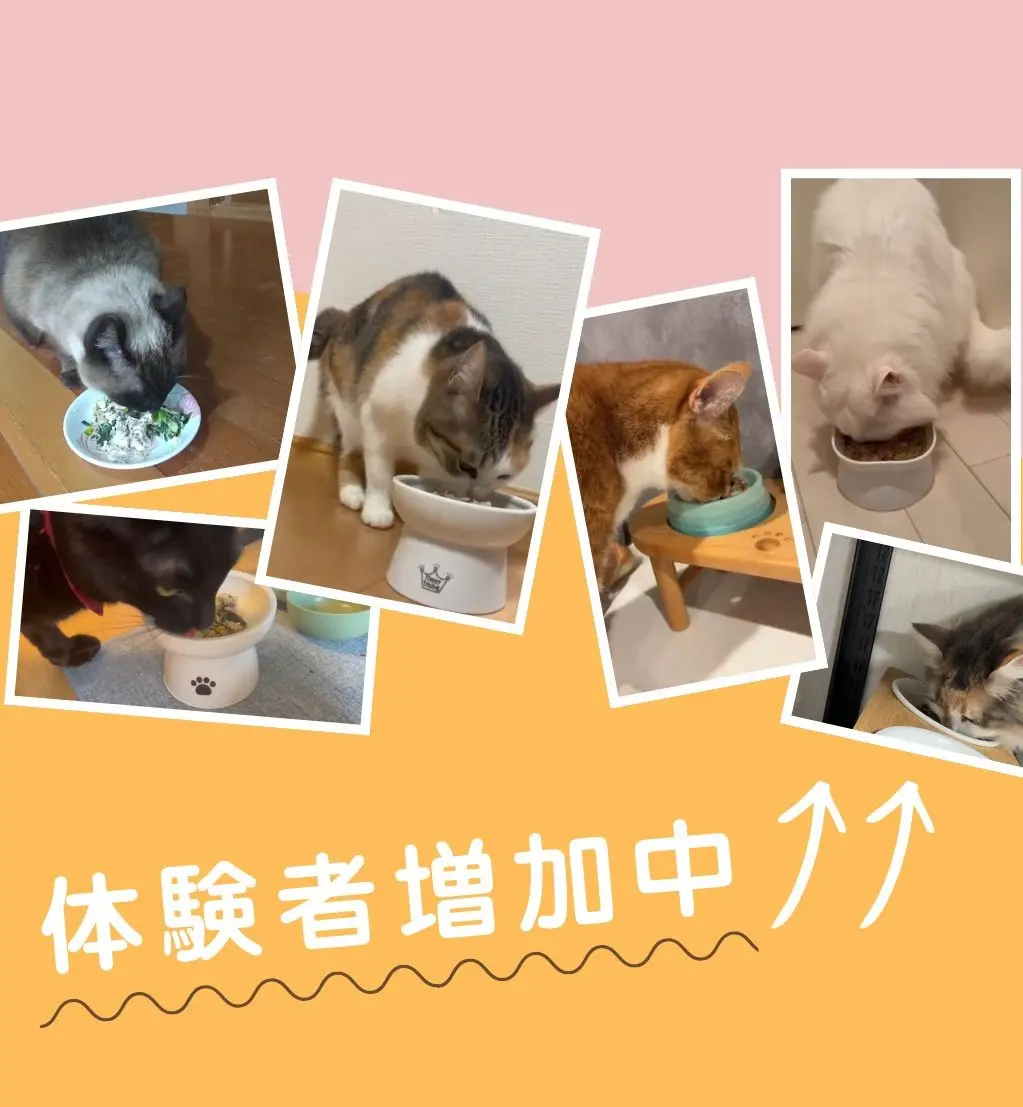 体験者増加中