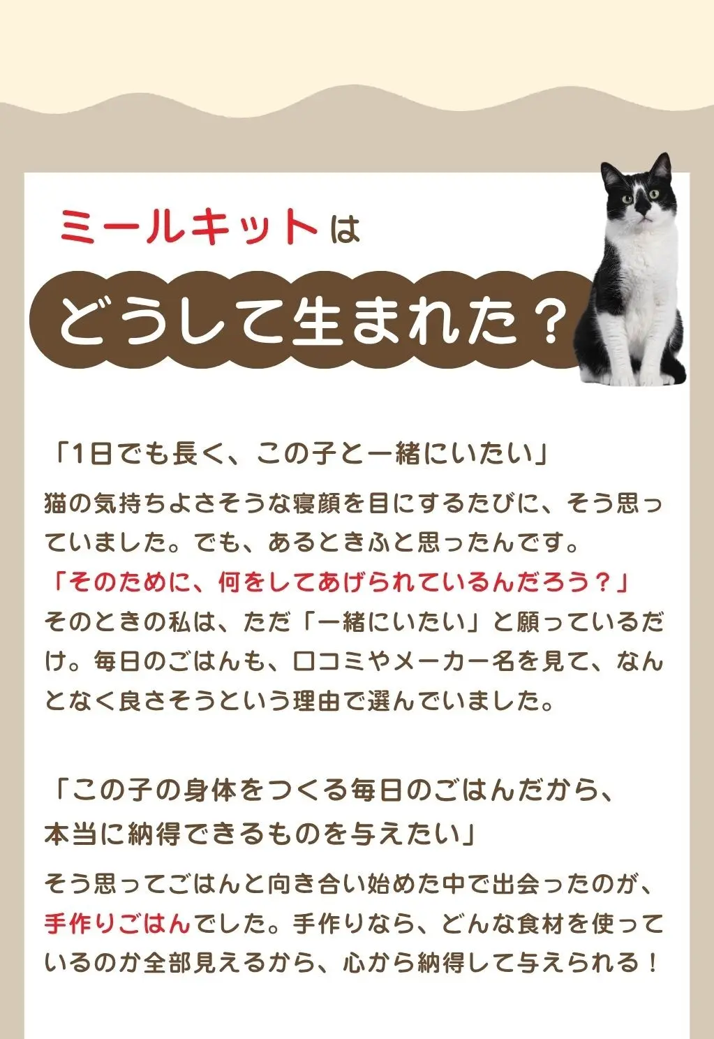 イフユーキャットってどんな会社？イフユーキャットは大切にしていることが2つあります。①品質へのこだわり。大切な猫に与えるものだから、イフユーキャットの商品は品質を最優先に一切妥協はしません