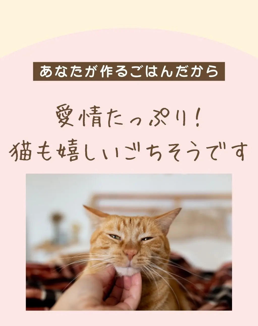 出来合いのフードと違って、たっぷりと愛情を注いであげられます