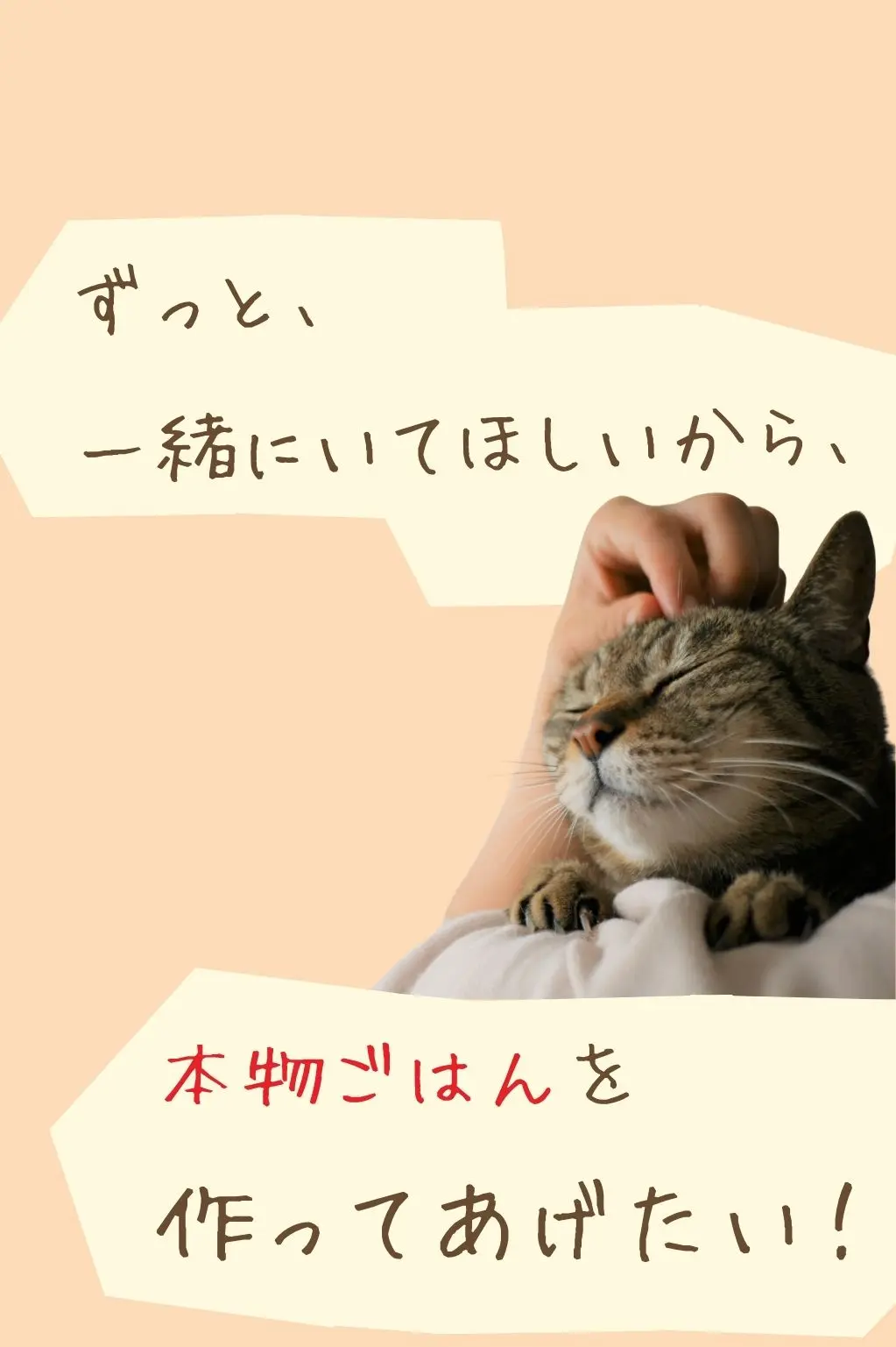 ずっと、一緒にいてほしいから、本物ごはんを作ってあげたい！