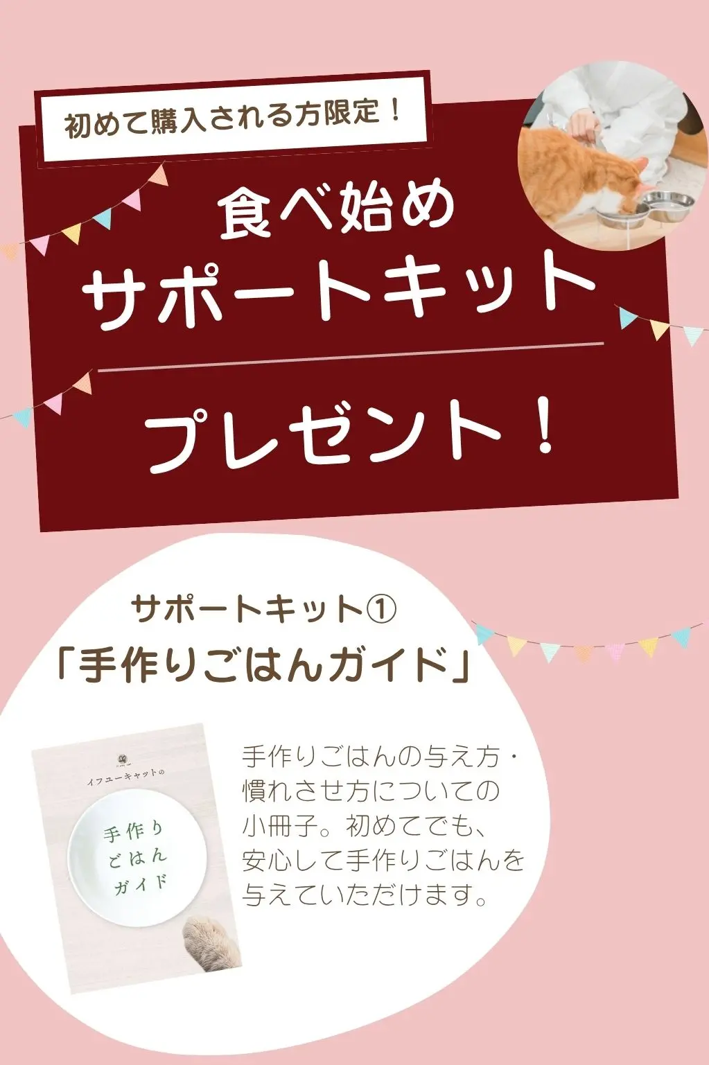 初めて購入される方限定、食べ始めサポートキットプレゼント、サポートキット①「手作りごはんガイド」