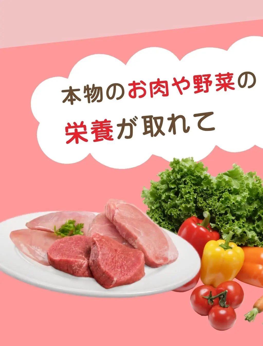 本物のお肉や野菜の栄養が取れて