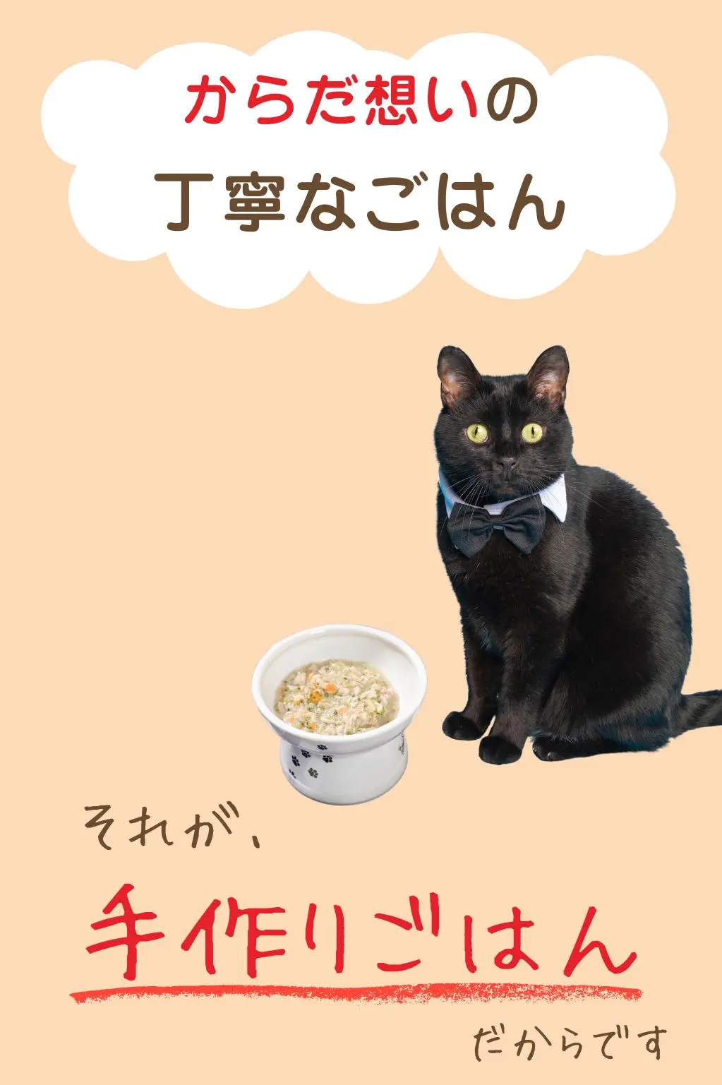 からだ想いの丁寧なごはん、それが手作りごはんだからです